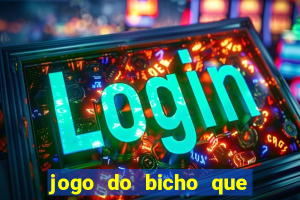 jogo do bicho que paga no pix